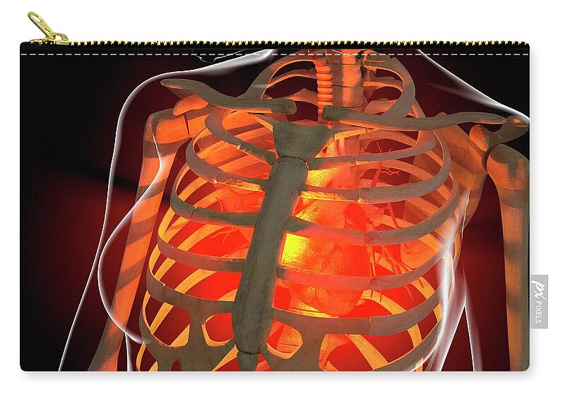 Anatomy Zip Pouch featuring the digital art Angina, Conceptual Artwork by Roger Harris