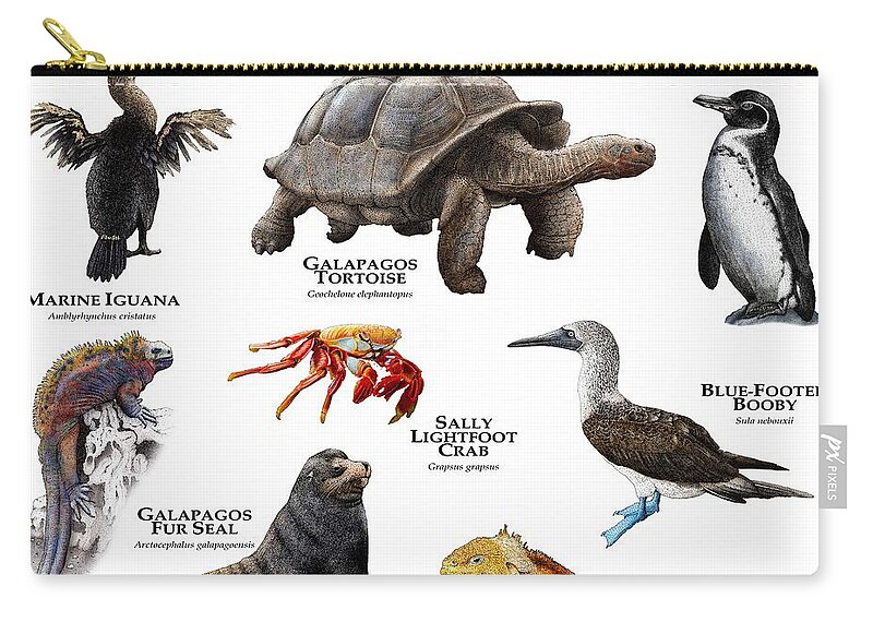 Animal Zip Pouch featuring the photograph Animals Of The Galapagos Islands by Roger Hall