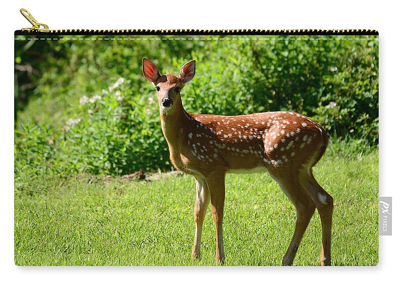 Deer Zip Pouch featuring the photograph Another Reason to Love Spring by Lori Tambakis