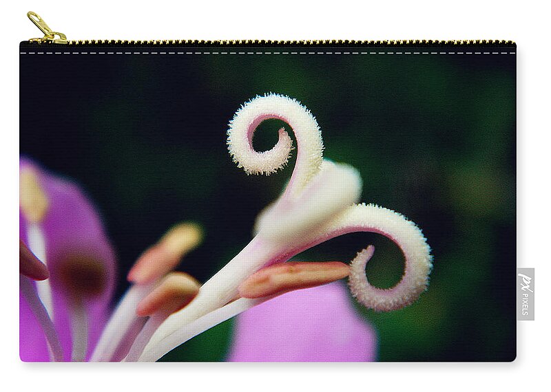 Antennae Zip Pouch featuring the photograph Antennae of Beauty by Zinvolle Art