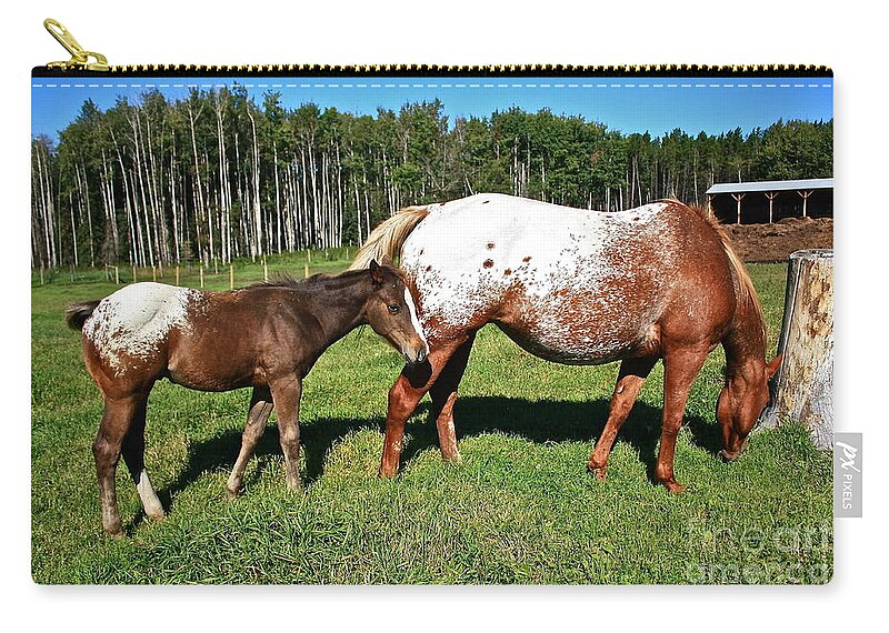 Horse Zip Pouch featuring the photograph Appaloosa Mamma and Baby by Linda Bianic