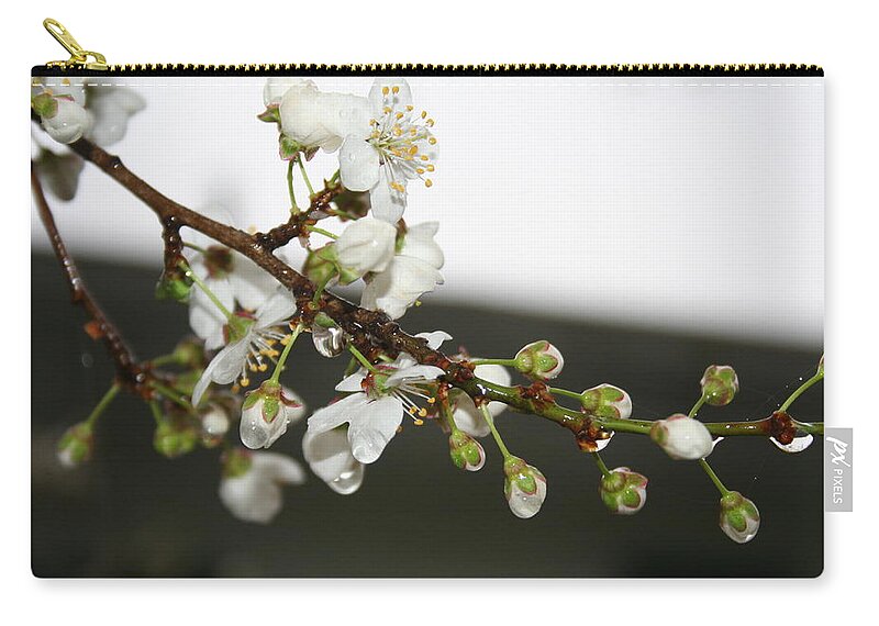 Apple Blossom Carry-all Pouch featuring the photograph Apple Blossom Buds by Valerie Collins