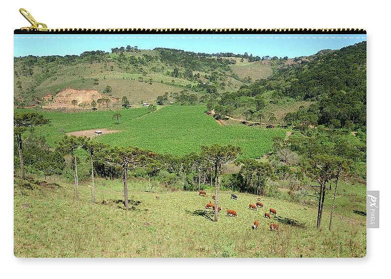 Grass Zip Pouch featuring the photograph Apple Farm by João Carlos Ebone Www.ebone.com.br