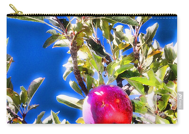 Apple Zip Pouch featuring the photograph Apple for One By Diana Sainz by Diana Raquel Sainz