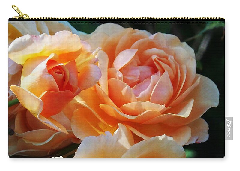 Flowers. Plants Zip Pouch featuring the photograph Apricot Dahlias by Kathy McClure