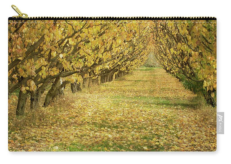 Grass Zip Pouch featuring the photograph Apricot Trees by Jill Ferry