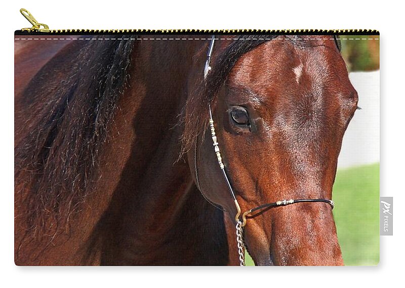 Animal Zip Pouch featuring the photograph Arch Madness by Davandra Cribbie