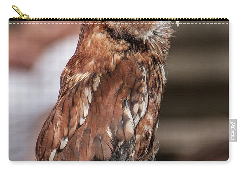 Screech Owl Zip Pouch featuring the photograph Are You My Mother by John Haldane