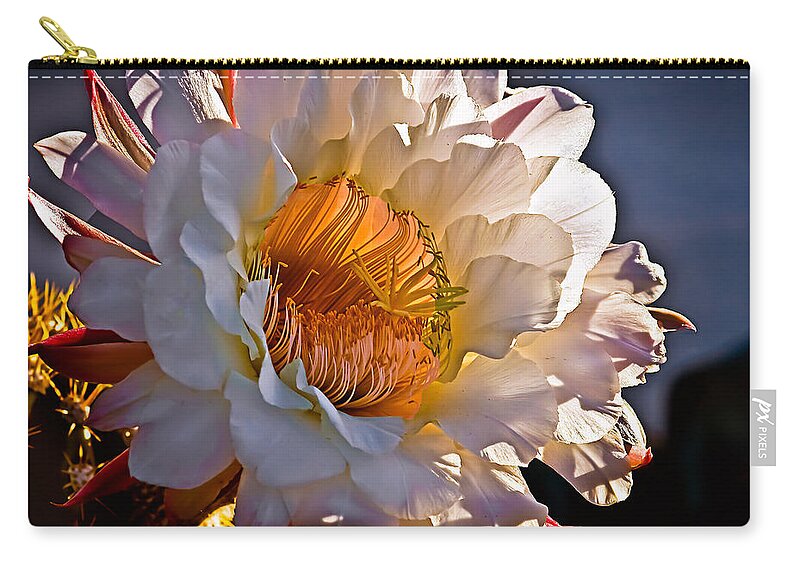 Arizona Zip Pouch featuring the photograph Argentine Giant II by Robert Bales