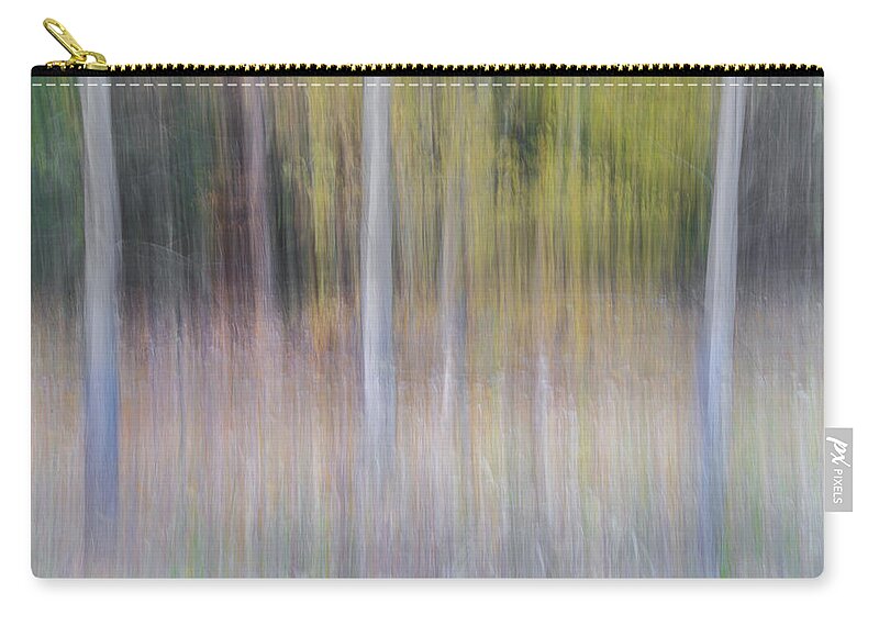 Tree Zip Pouch featuring the photograph Artistic Birch Trees by Larry Marshall
