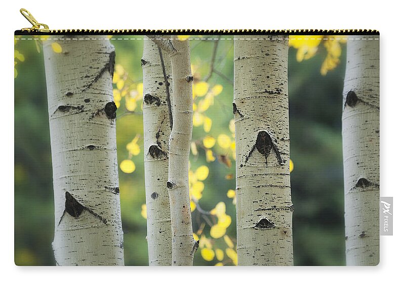 Aspen Trees Zip Pouch featuring the photograph As Autumn Arrives by Saija Lehtonen