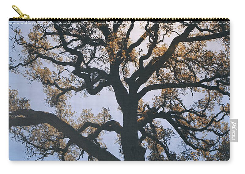 Mt. Diablo State Park Zip Pouch featuring the photograph As We Grow and Change by Laurie Search