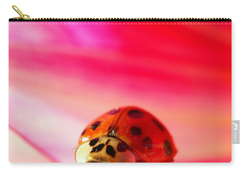 Red Carry-all Pouch featuring the photograph Asian Lady Beetle 2 by Amanda Mohler