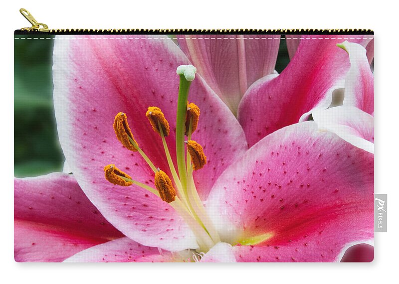 Asian Zip Pouch featuring the photograph Asian Lily by Michael Porchik