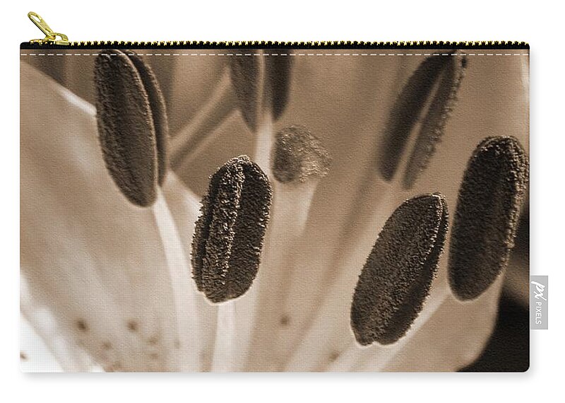 Asiatic Lily Zip Pouch featuring the photograph Asiatic Lily named Vermeer by J McCombie