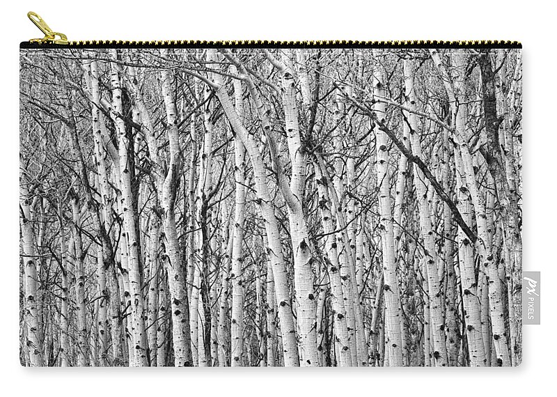 Scenic Zip Pouch featuring the photograph Aspen Forest Tree Trunk Bark by James BO Insogna
