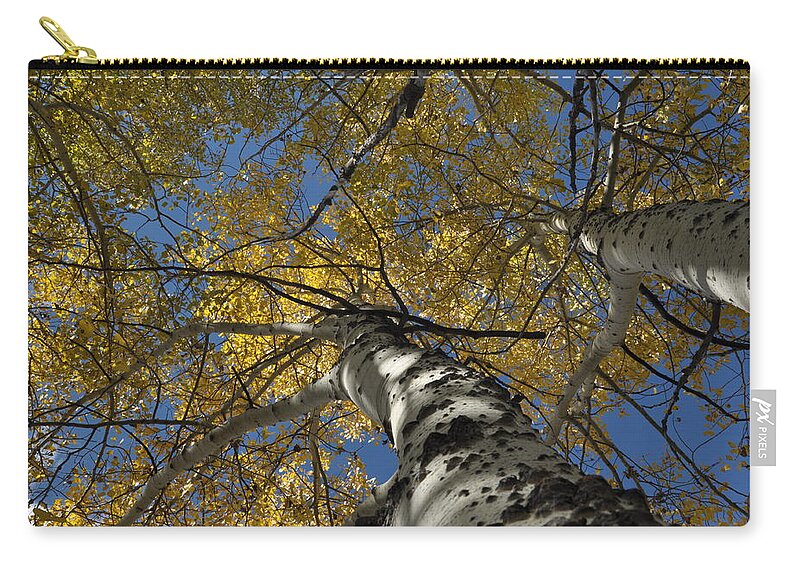 Gold Zip Pouch featuring the photograph Fall Aspen #2 by Frank Madia