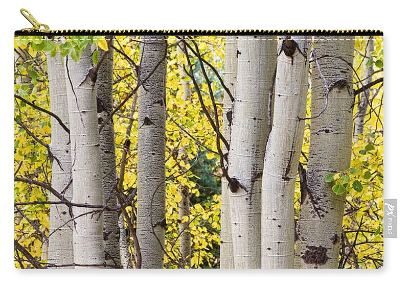 Aspen Carry-all Pouch featuring the photograph Aspen Trees in Autumn Color Portrait View by James BO Insogna