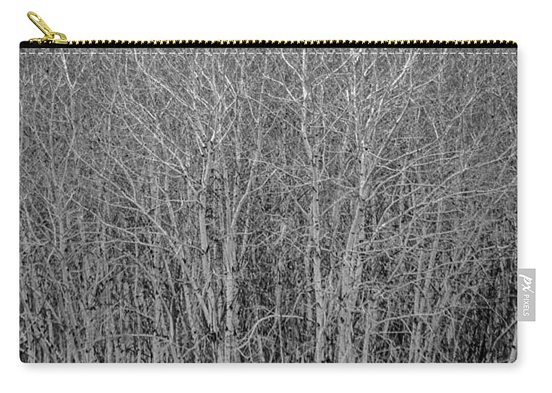 Dakota Zip Pouch featuring the photograph Aspens in Black and White by Greni Graph