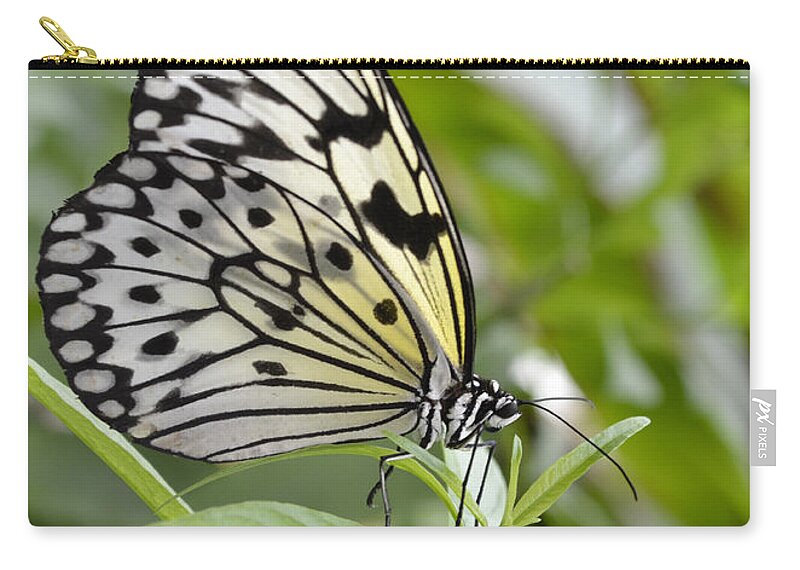 Rice-paper Butterfly Carry-all Pouch featuring the photograph At rest by Spikey Mouse Photography
