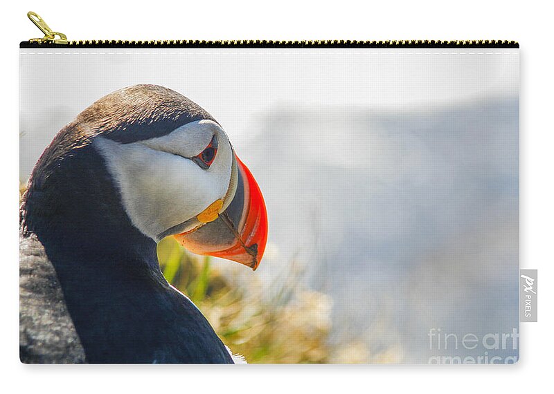 Atlantic Zip Pouch featuring the photograph Atalantic sea puffin in close up by Patricia Hofmeester
