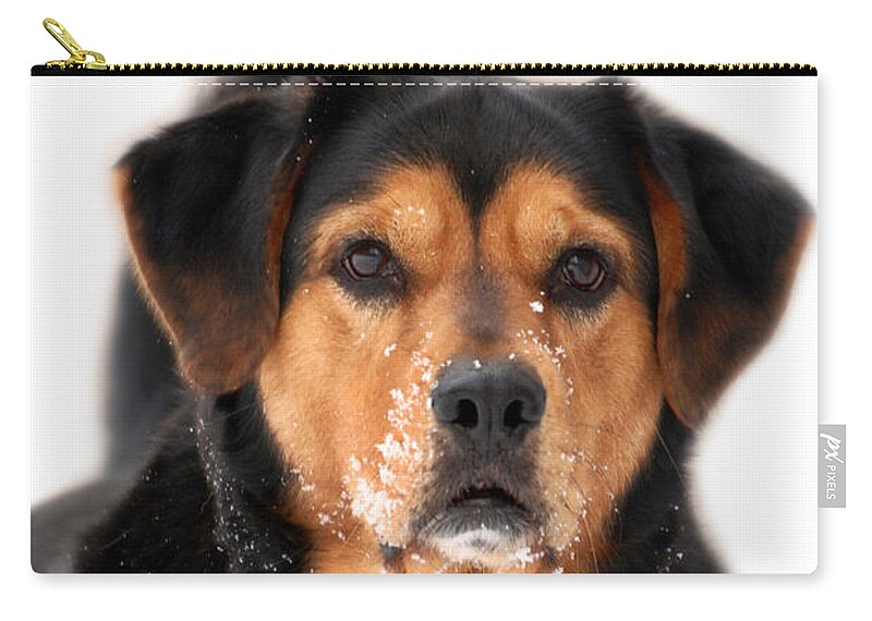 Dog Zip Pouch featuring the photograph Working Dog by Christina Rollo