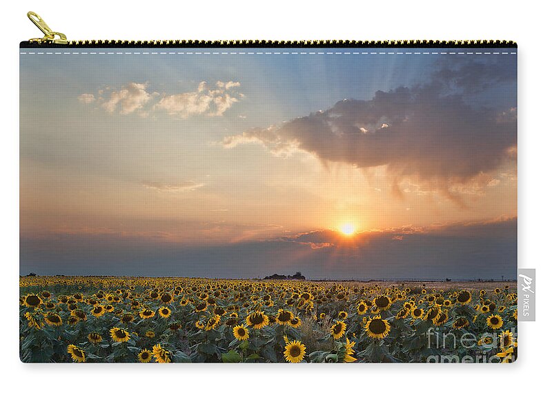 Flowers Zip Pouch featuring the photograph August Dreams by Jim Garrison