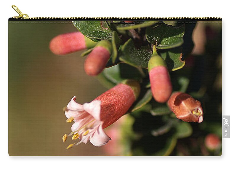 Australian Fuchsia Zip Pouch featuring the photograph Australian Fuchsia by Joy Watson