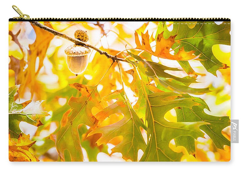 2014 Zip Pouch featuring the photograph Autumn Acorn by Melinda Ledsome