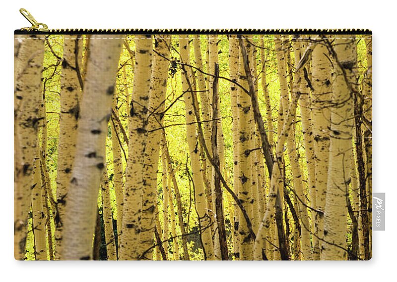 Scenics Zip Pouch featuring the photograph Autumn Aspens Fall Colors by Adventure photo