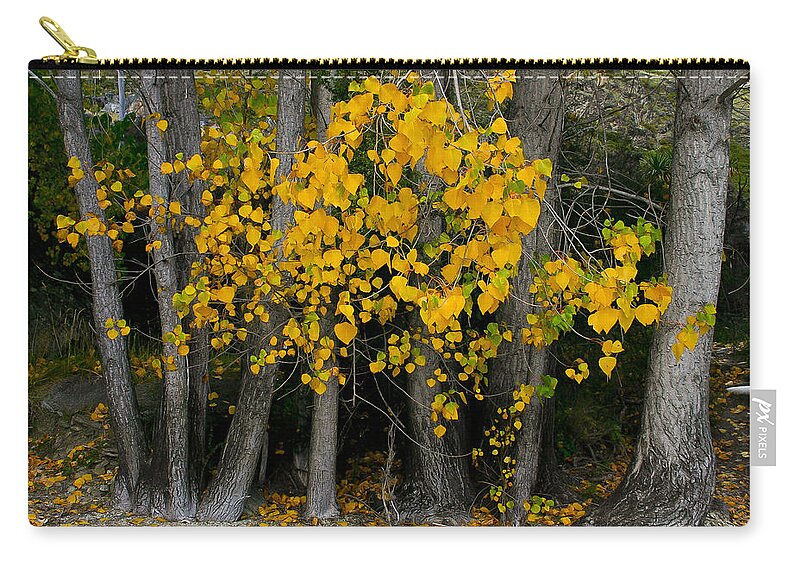 Autumn Zip Pouch featuring the photograph Autumn breakout by Jenny Setchell