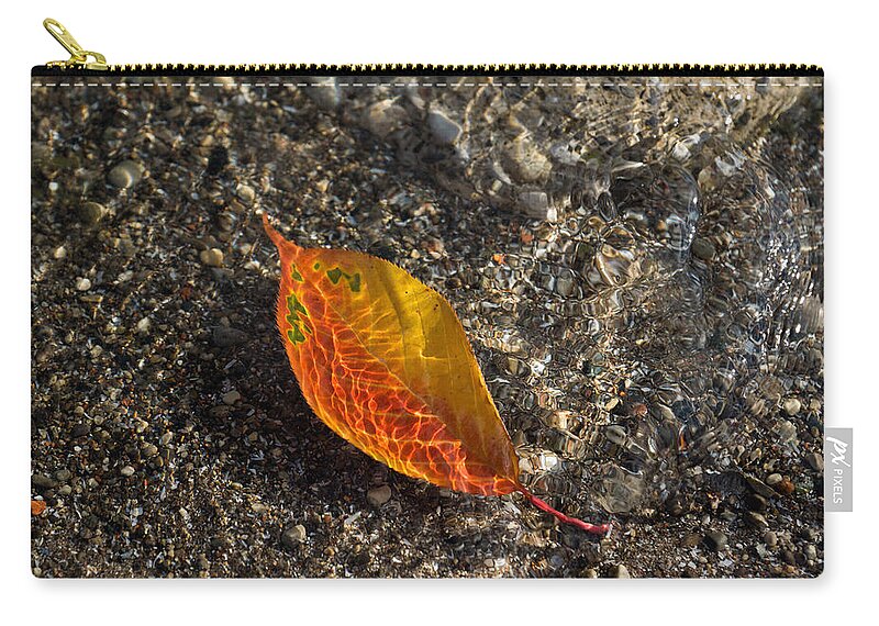 Georgia Mizuleva Zip Pouch featuring the photograph Autumn Colors and Playful Sunlight Patterns - Cherry Leaf by Georgia Mizuleva