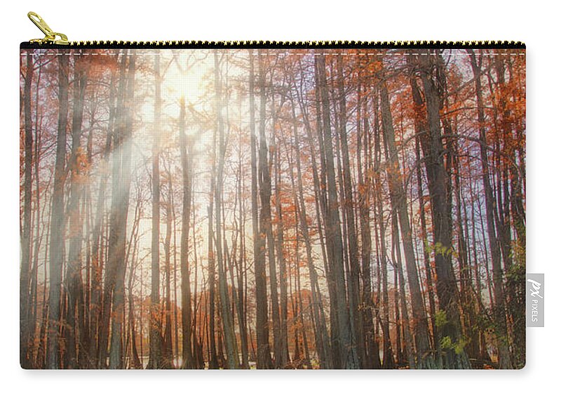 Autumn Zip Pouch featuring the photograph Autumn Cypress - Fall - Trees by Jason Politte