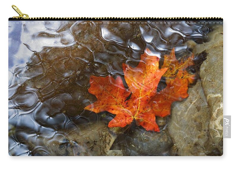 Autumn Zip Pouch featuring the photograph Autumn Down Under by David Andersen