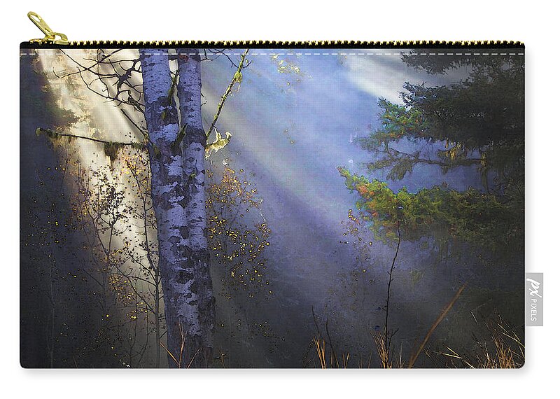 Fantasy Forest Zip Pouch featuring the photograph Autumn Fog With Sun Rays by Theresa Tahara