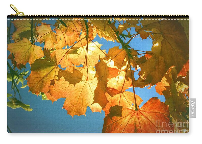 Autumn Carry-all Pouch featuring the photograph Autumn Found by Spikey Mouse Photography