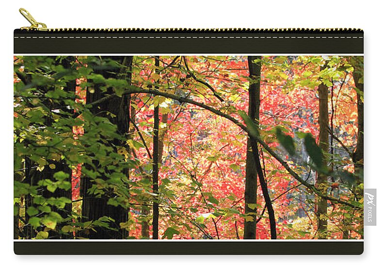 Autumn Zip Pouch featuring the photograph Autumn in the Forest by Jackson Pearson