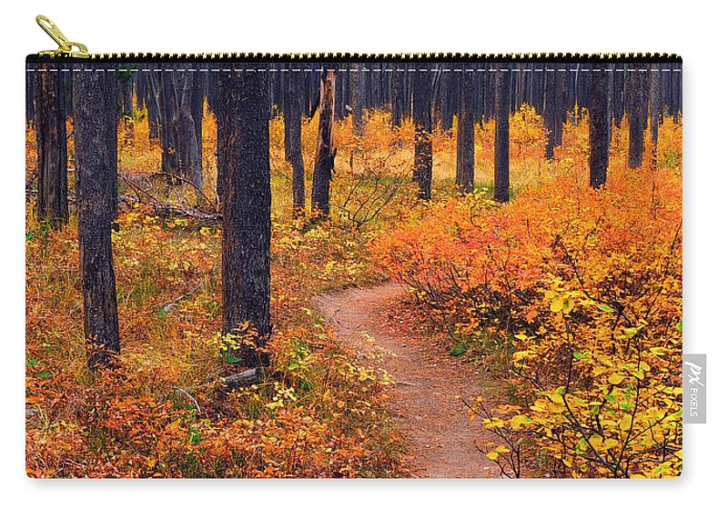 Yellowstone Zip Pouch featuring the photograph Autumn in Yellowstone by Raymond Salani III