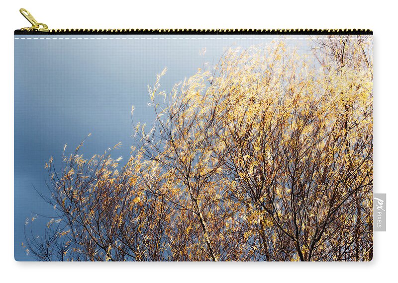 Tree Zip Pouch featuring the photograph Autumn is Leaving by Gwyn Newcombe