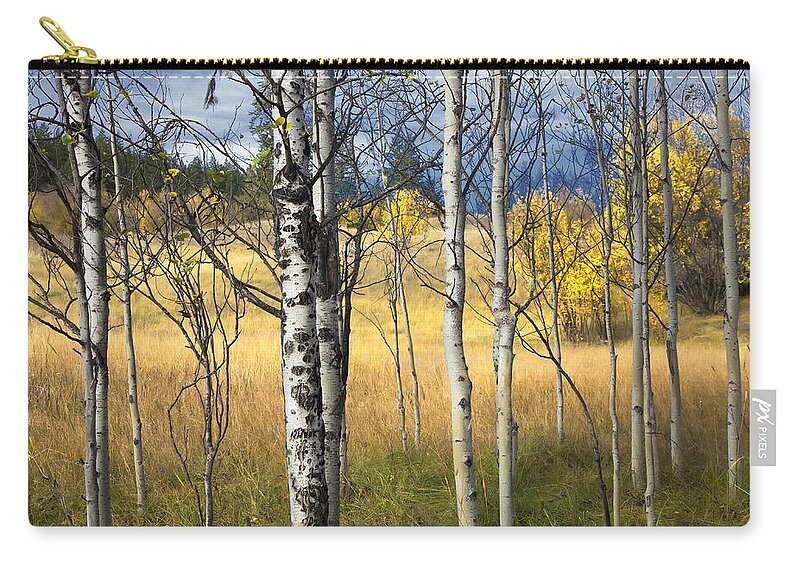 Autumn Zip Pouch featuring the photograph Autumn Landscape by Theresa Tahara