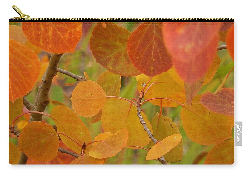 Heather Coen Zip Pouch featuring the photograph Autumn Leaves by Heather Coen