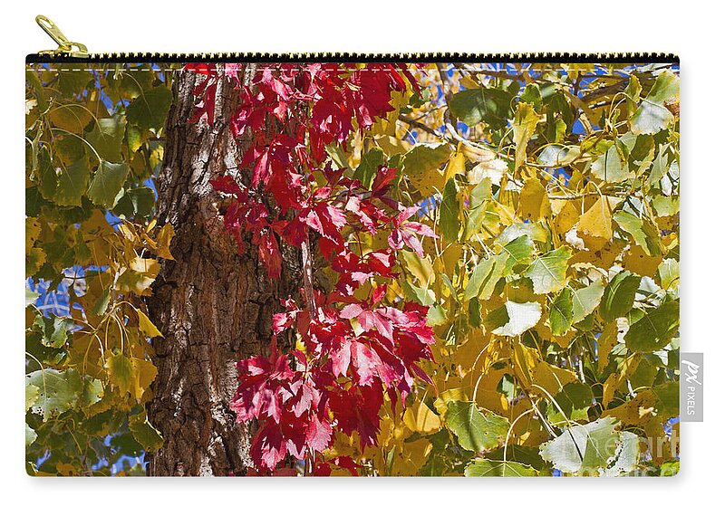 Texas Zip Pouch featuring the photograph Autumn Leaves in Palo Duro Canyon 110213.97 by Ashley M Conger