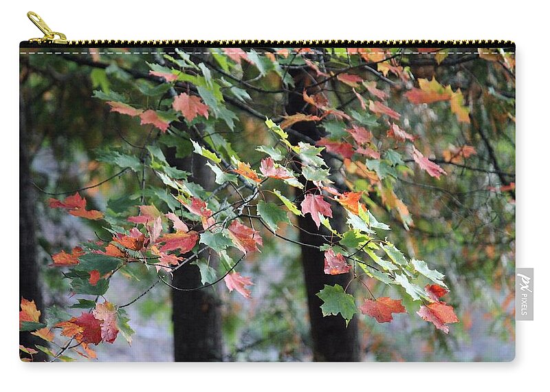 Leaves Carry-all Pouch featuring the photograph Autumn Leaves by Jackson Pearson