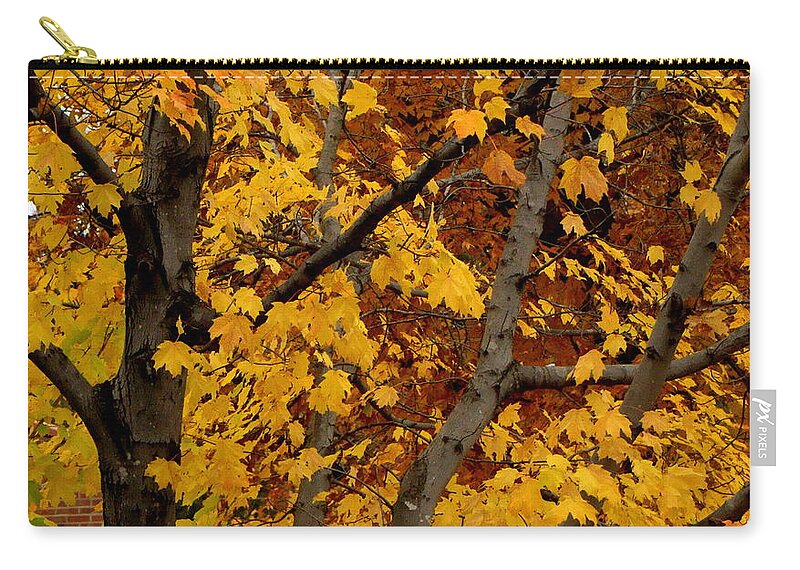 Fall Zip Pouch featuring the photograph Autumn Moods 21 by Rodney Lee Williams