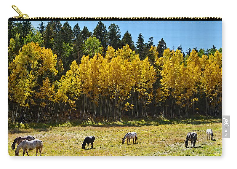 Colorado Photographs Zip Pouch featuring the photograph Autumn Pasture by Gary Benson