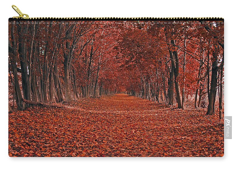Autumn Zip Pouch featuring the photograph Autumn by Raymond Salani III