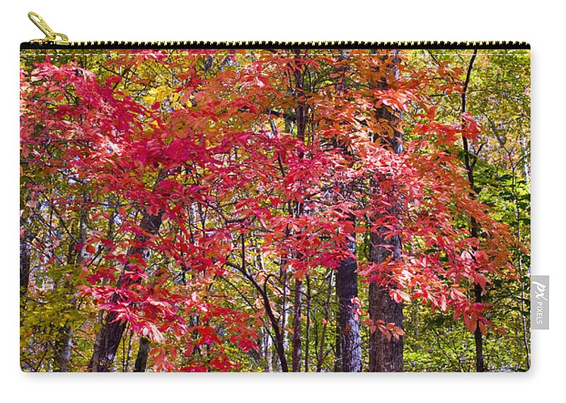 Woods Zip Pouch featuring the photograph Autumn Splender by Paul W Faust - Impressions of Light