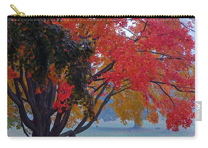 Autumn Splendor Zip Pouch featuring the photograph Autumn Splendor by Lisa Phillips