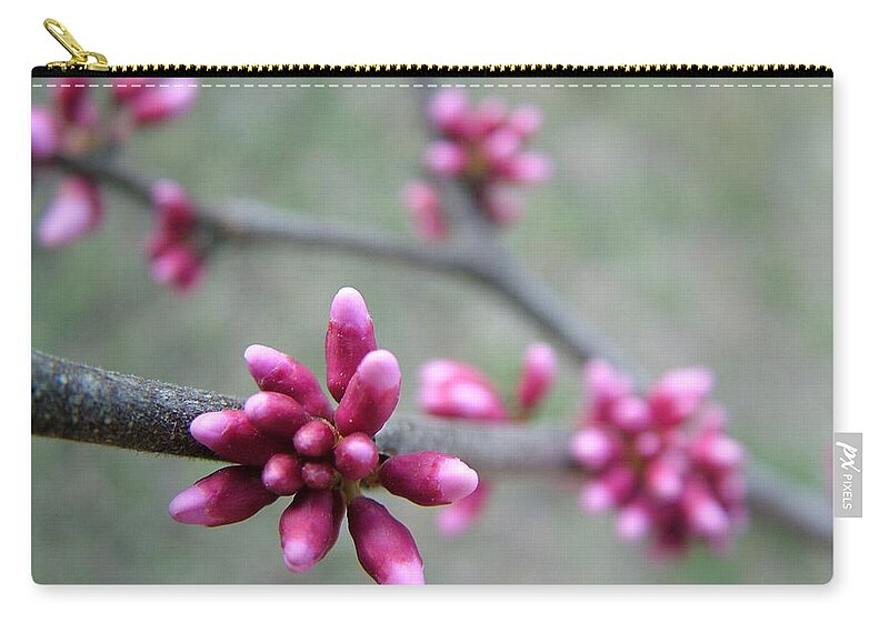 Tree Bud Zip Pouch featuring the photograph Awakening Bloom by Kathy Churchman
