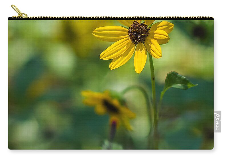 Flower Zip Pouch featuring the photograph Awakening by Jane Luxton